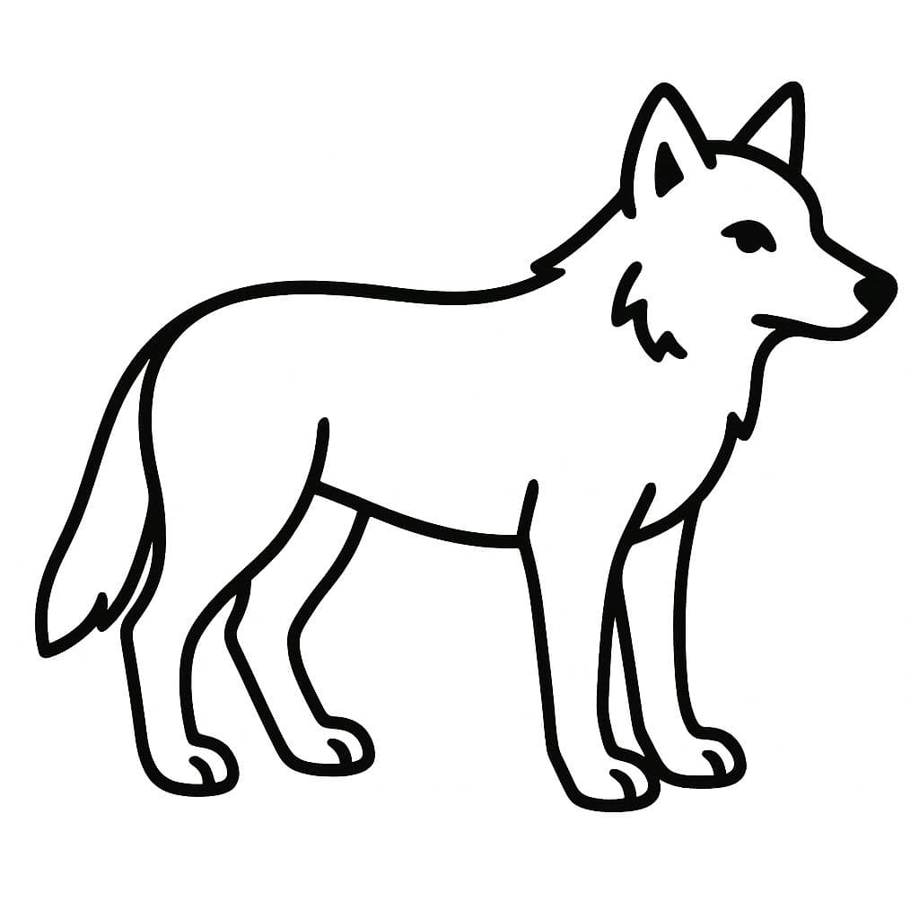 Loup vigilant à la lisière