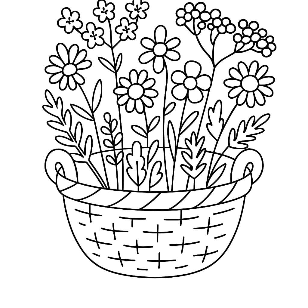 Le panier de la Saint-Jean